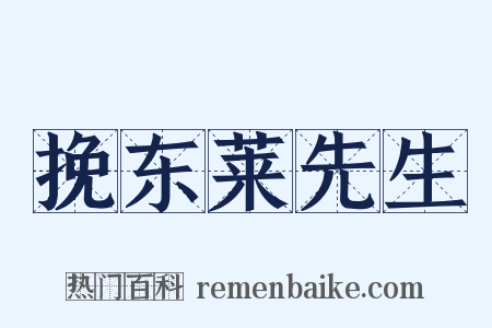 挽东莱先生是什么意思的图片